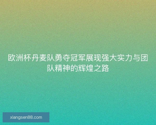 欧洲杯丹麦队勇夺冠军展现强大实力与团队精神的辉煌之路